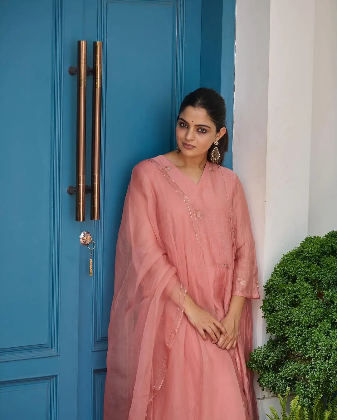 Nikhila Vimal Stills in Pink Gown